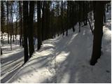 St. Ulrich / Šenturh - Razgledišče Petelinc / Aussicht Petelinz